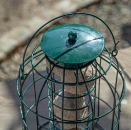 Rackhams Metal Hanging Bird Fat Ball Feeder with Squirrel Guard & Pack of 6 Suet Fat Balls - thumbnail 6