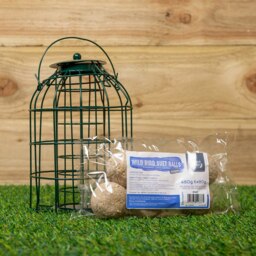 Rackhams Metal Hanging Bird Fat Ball Feeder with Squirrel Guard & Pack of 6 Suet Fat Balls - thumbnail 1