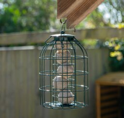 Rackhams Metal Hanging Bird Fat Ball Feeder with Squirrel Guard & Pack of 6 Suet Fat Balls - thumbnail 2
