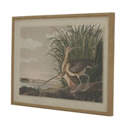 Rackhams Flora & Fauna Collection Picture Beaded Lined Framed Wall Art - Brown/White/Green - Brown/White/Green - 45cm x 2cm x 62cm - Brown/White/Green - thumbnail 2