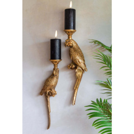 Golden Macaw Parrot Candle Holder - 2 Options Available - thumbnail 1