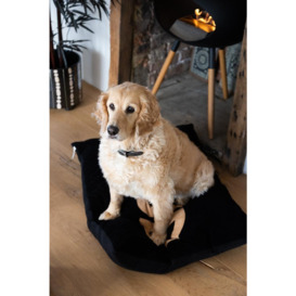 Stud Dog Bed - 3 Available Sizes - thumbnail 2
