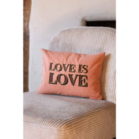 Love Is Love Embroidered Blush Pink Cushion