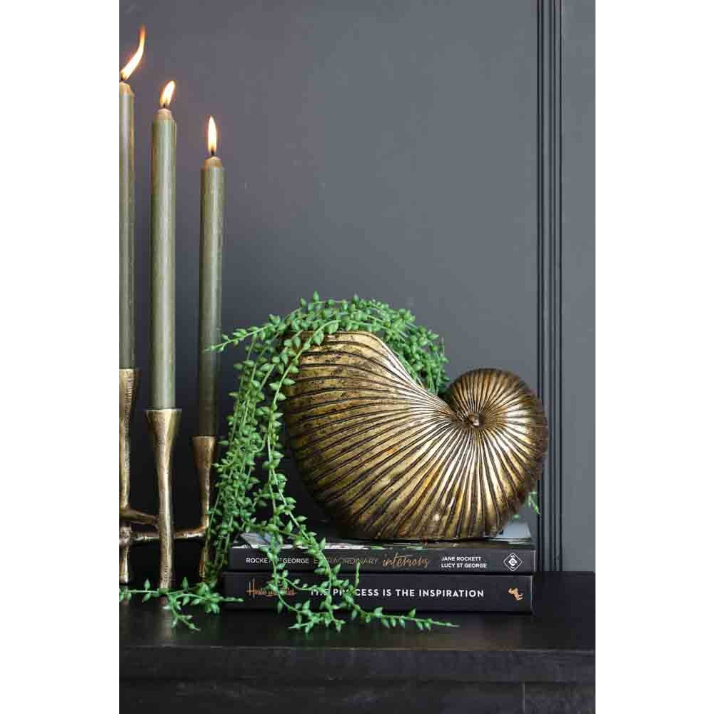 Gold Shell Planter - image 1