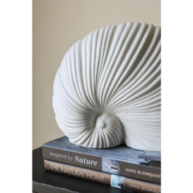 White Faux Sea Shell Ornament - thumbnail 2