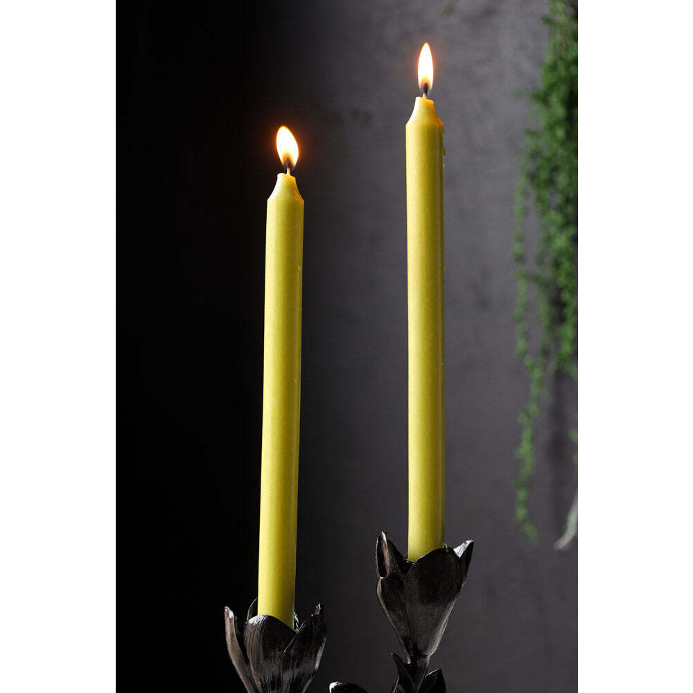 Beautiful Dinner Candle - Lime Green - image 1