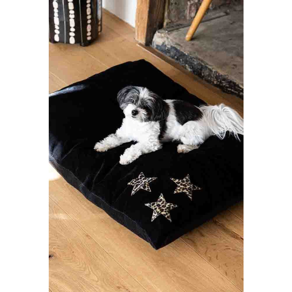 Leopard Stars Dog Bed - 3 Available Sizes