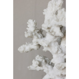 White Faux Coral Bookends - thumbnail 2