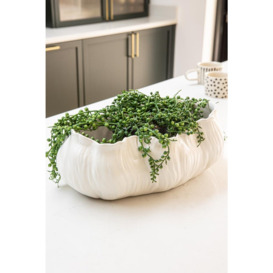 White Shell Decorative Bowl/Planter - thumbnail 1