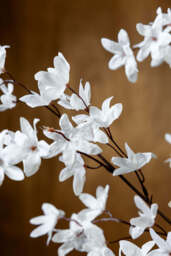 Pretty Faux Flower Spray in White - thumbnail 5