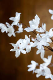 Pretty Faux Flower Spray in White