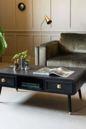 Black & Gold Ringo Storage Coffee Table - thumbnail 5