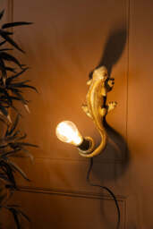 Gold Lizard Table/Wall Light - thumbnail 3