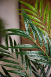 Extra Large Faux Bamboo Tree - thumbnail 4