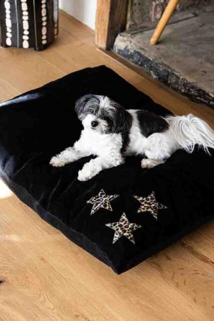 Leopard Stars Dog Bed - 3 Available Sizes - image 1
