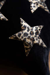 Leopard Stars Dog Bed - 3 Available Sizes - thumbnail 4