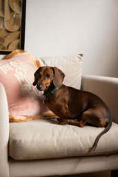 Pink Velvet Double-Fringed Show Must Go On Embroidered Cushion - thumbnail 3