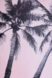 Vintage Pink Palms 50cm x 50cm Art Print - Available in 4 Options - thumbnail 4
