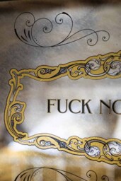 Fuck Normal, I Want Magic Mirror - thumbnail 5