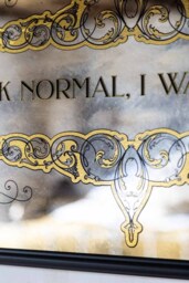 Fuck Normal, I Want Magic Mirror - thumbnail 4