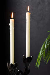 Beautiful Dinner Candle - Ivory - thumbnail 5