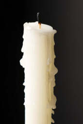 Beautiful Dinner Candle - Ivory - thumbnail 4