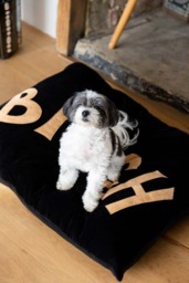 Bitch Dog Bed - 3 Available Sizes - thumbnail 3