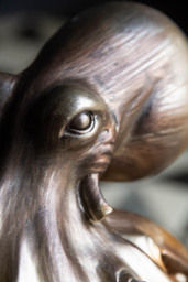 Octopus Table Lamp - thumbnail 4