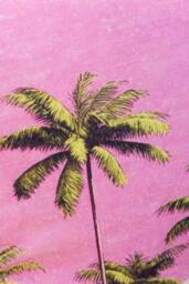 Palm Springs Outdoor Cushion - thumbnail 4