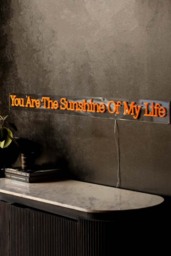 You Are The Sunshine To My Life Neon Wall Light - thumbnail 5
