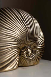Brushed Gold Faux Sea Shell Ornament - thumbnail 3