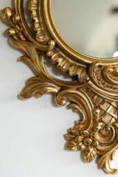 Gold Parrot Mirror - thumbnail 4
