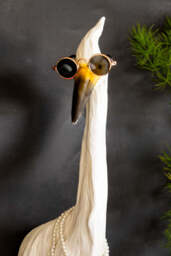 Ozzy The Quirky Bird With Sunglasses & Necklace Wall Art - thumbnail 4
