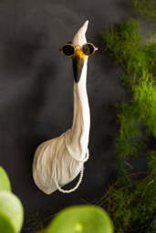 Ozzy The Quirky Bird With Sunglasses & Necklace Wall Art - thumbnail 3
