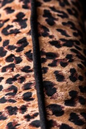 Leopard Love Print Cushion - thumbnail 5