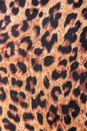 Leopard Love Print Cushion - thumbnail 3