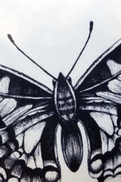 Monochrome Butterfly Outdoor Cushion - thumbnail 3