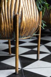 Gold Scallop Planter On Stand - thumbnail 4