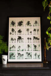 Vintage-Style Polaroid Palms A2 Art Print - Available in 4 Options - thumbnail 1