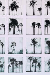 Vintage-Style Polaroid Palms A2 Art Print - Available in 4 Options - thumbnail 3