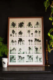 Vintage-Style Polaroid Palms A2 Art Print - Available in 4 Options - thumbnail 4