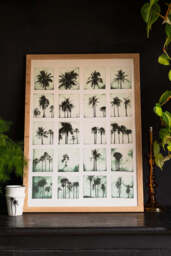 Vintage-Style Polaroid Palms A2 Art Print - Available in 4 Options - thumbnail 5