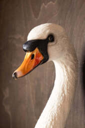 Large White Faux Swan Head Wall Art - thumbnail 4