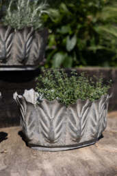 Set of 3 Petal Antiqued Planters - thumbnail 4