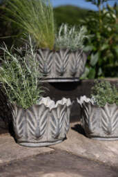Set of 3 Petal Antiqued Planters - thumbnail 5