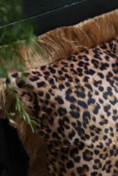 Leopard Love Velvet Fringe Feather Filled Cushion - thumbnail 3