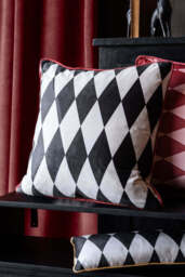 Monochrome Embroidered Star Cushion - thumbnail 4