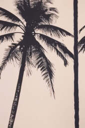 Artistic Palm Silhouettes 50cm x 50cm Art Print - Available in 4 Options - thumbnail 4