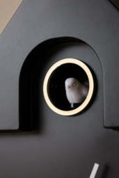Modern Black Cuckoo Wall Clock - thumbnail 3