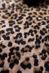 Signature Leopard Print Velvet Throw with Tassels - thumbnail 5